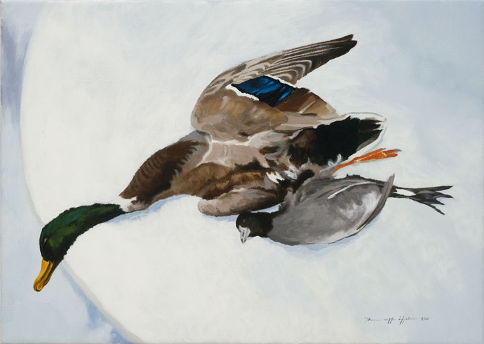 Mallard Duck Art Oil Painting